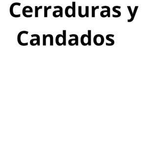 CERRADURAS Y CANDADOS