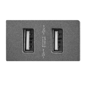 CONTACTO DUAL USB GRIS LINEA PRO SPM-09