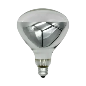 FOCO CARNITAS 250W E27 1500 LM 127 V FBR40-25027